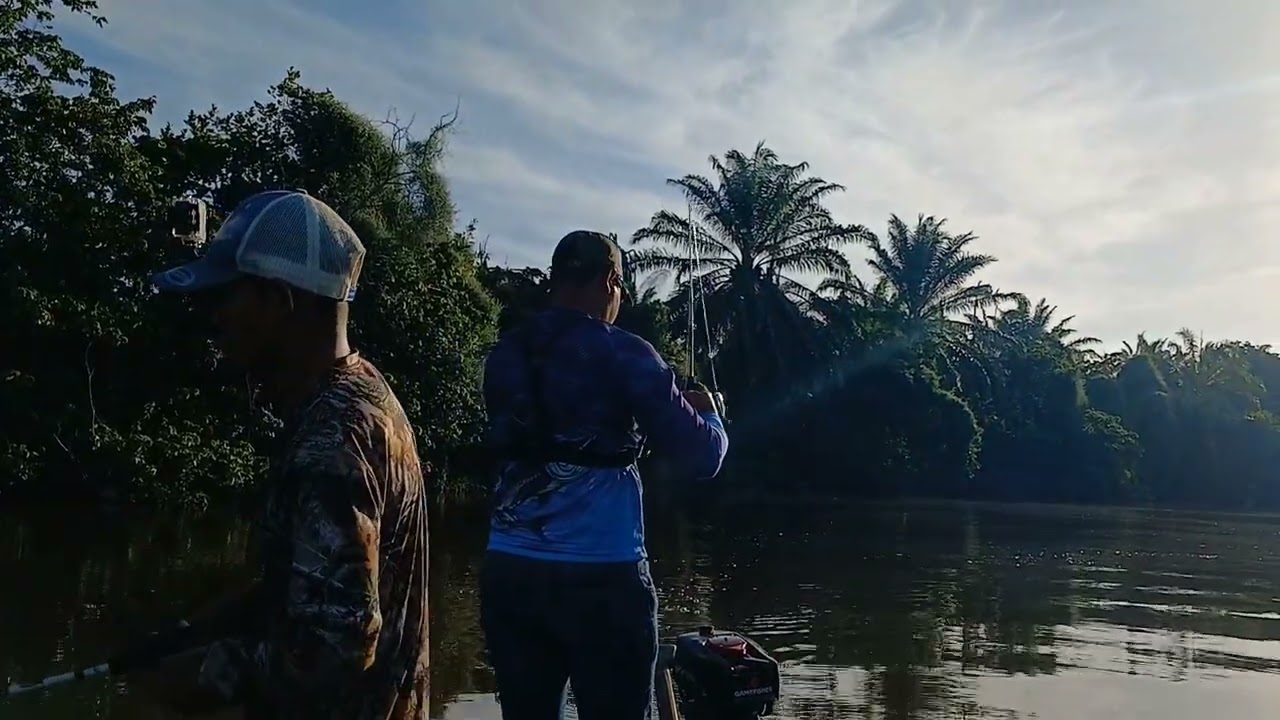 Tremenda pesca y cocina de Róbalo, con señuelo😱😱😱🎣