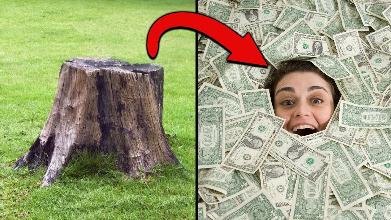 r/Treelaw Сосед срубил дерево и заплатил 750 000 долларов!