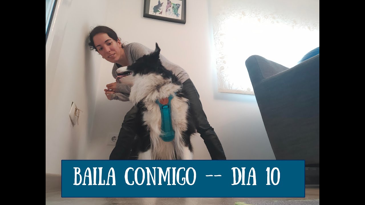 Baila con tu perro DÍA 10