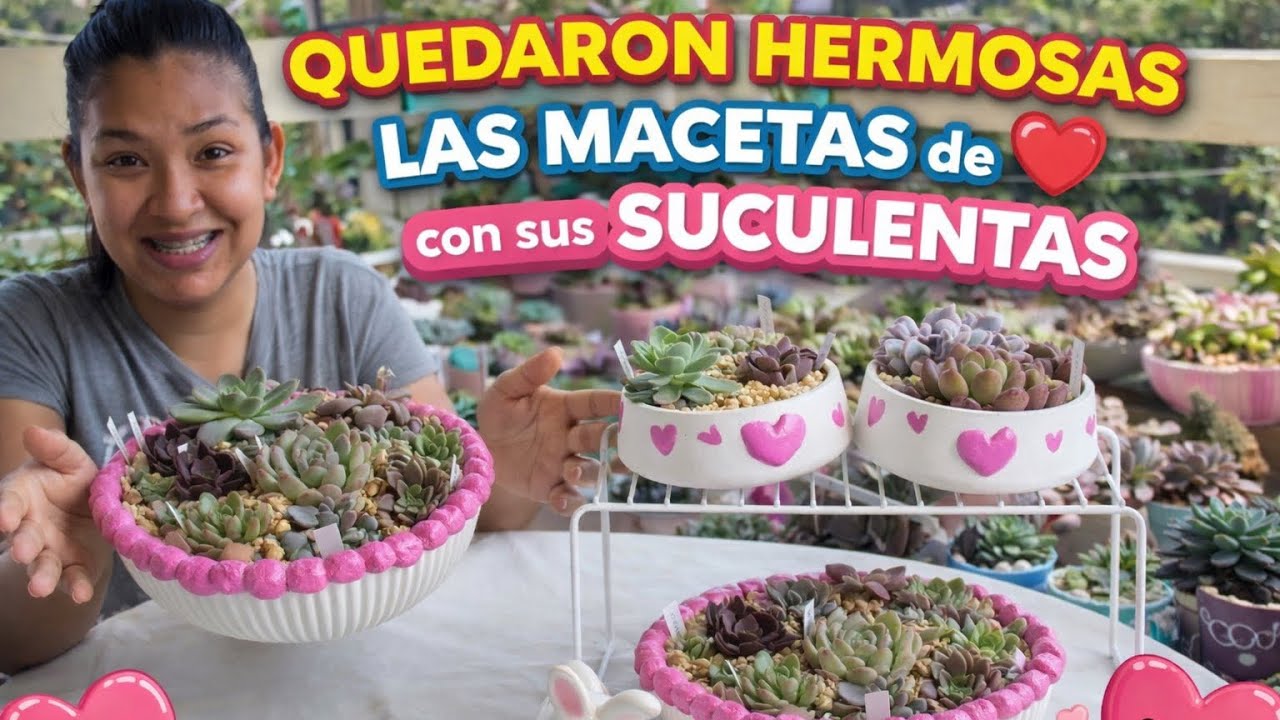 Plantamos en MACETAS DE CORAZÓN 💓 SUCULENTAS  que estaban en mi lista de deseos #suculentas #diy 