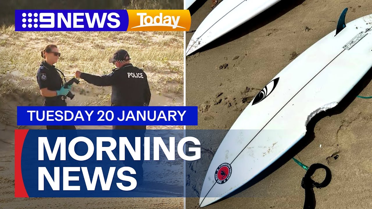Third shark attack in Sydney; Deadly suspected dingo attack | 9 News Australia