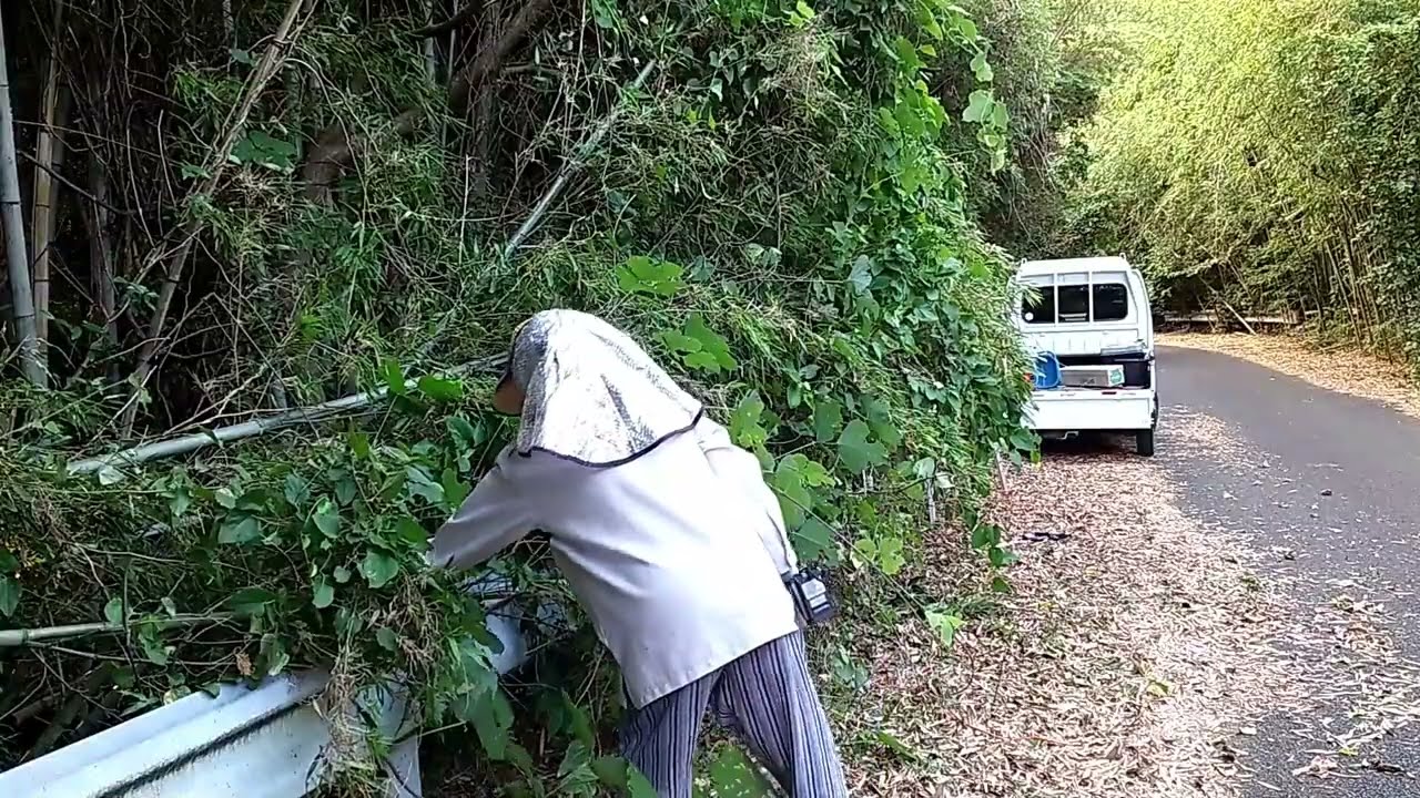 通行の邪魔になる道路脇から出ている草、木の枝を切りました