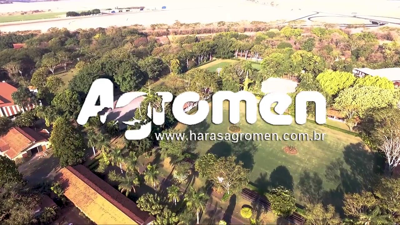 Haras Agromen 2017