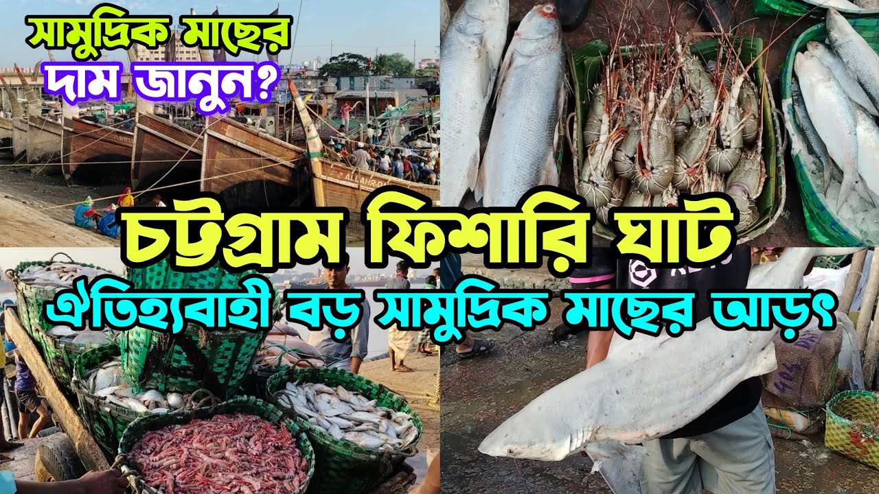 চট্টগ্রাম নতুন ফিশারি ঘাট | সবচেয়ে বড় সামুদ্রিক মাছের আড়ৎ | মাছের সরবরাহ ও দাম জানুন? #ফিশারিঘাট