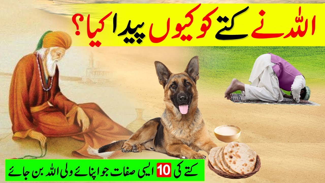 ALLAH Ne Kuta Kyun Paida Kiya | Kutte (Dog) ko kyun paida kiya gaya | Pyaara Islam