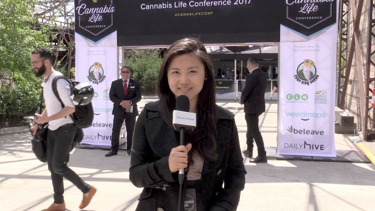 Cannabis Life Conference Toronto: A Video Primer