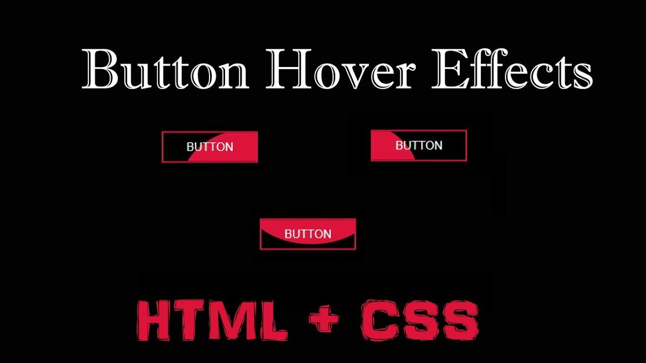 Button Hover Effects | How to create button hover effects in HTML with CSS | CodingTutorials