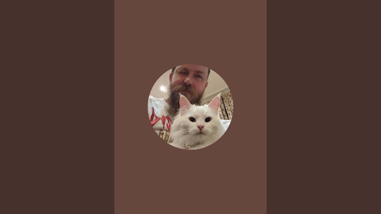 Travis and Sigrid is live