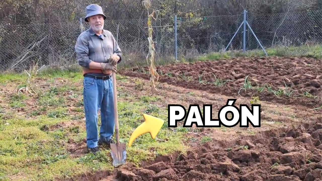 C&oacute;mo cavar la huerta con el pal&oacute;n o pala plana a los 75 a&ntilde;os
