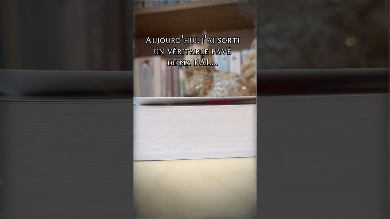Lisez-vous des pav&eacute;s ? #booktube #vloglecture