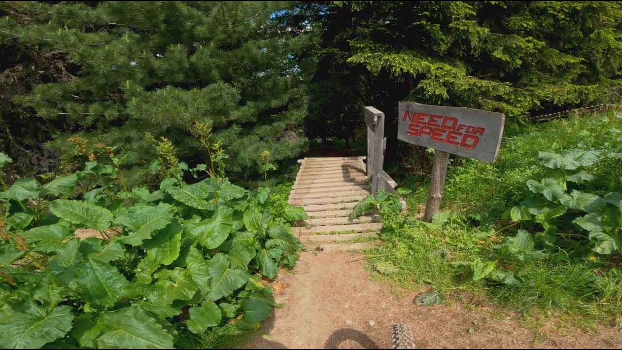 Borovets bike park - Need for speed