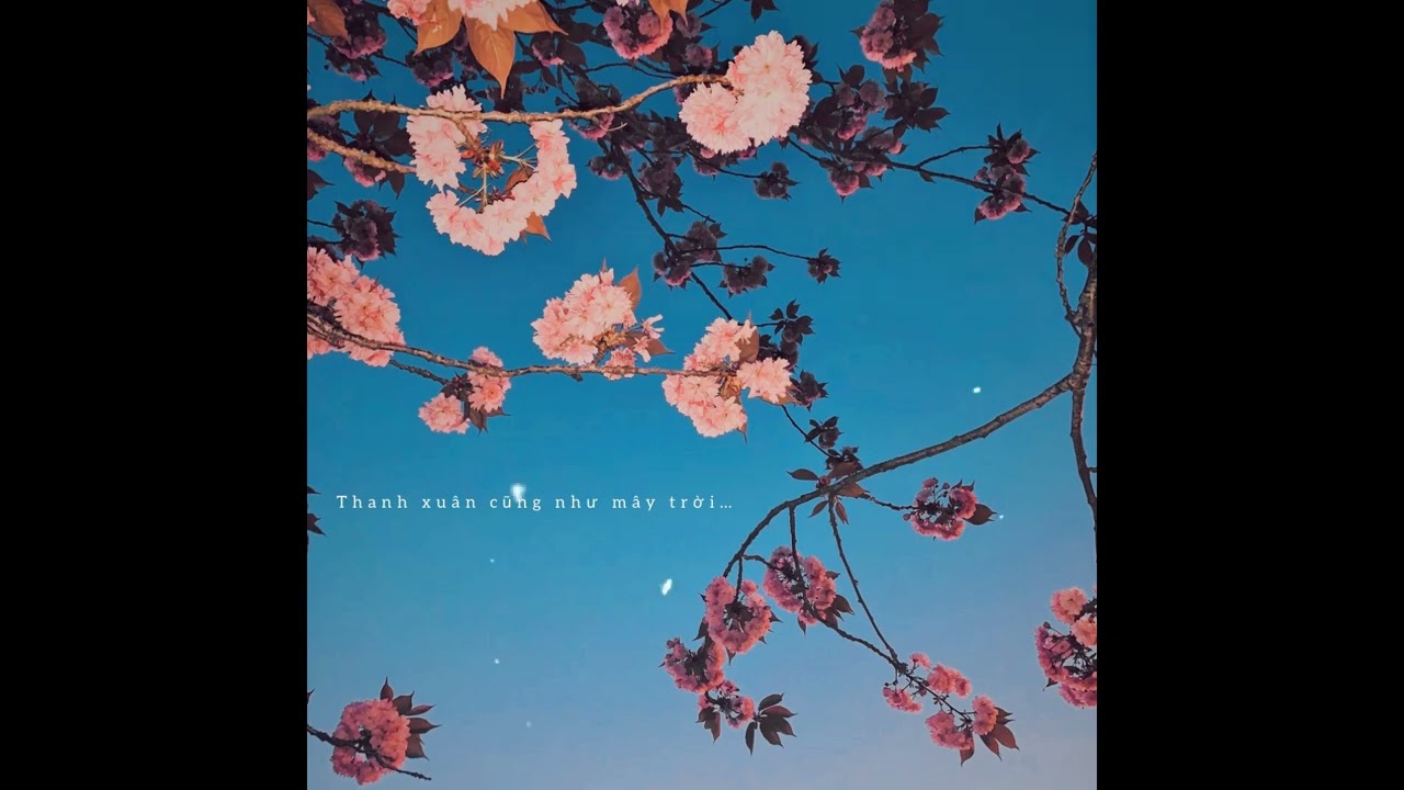 Thanh xuân cũng như mây trời - Chí /1 hour