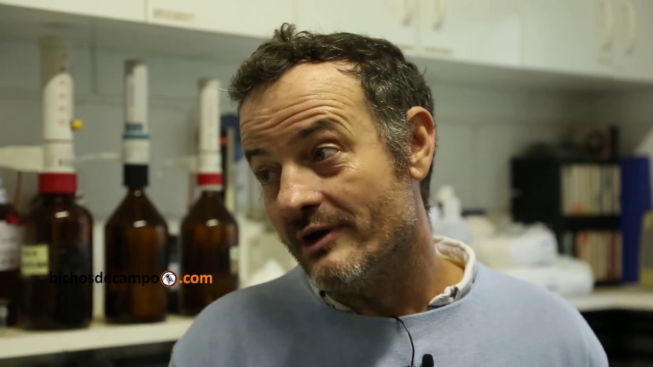 Pablo Prystupa - Profesor adjunto de la Cátedra Fertilidad y Fertilizantes de la FAUBA