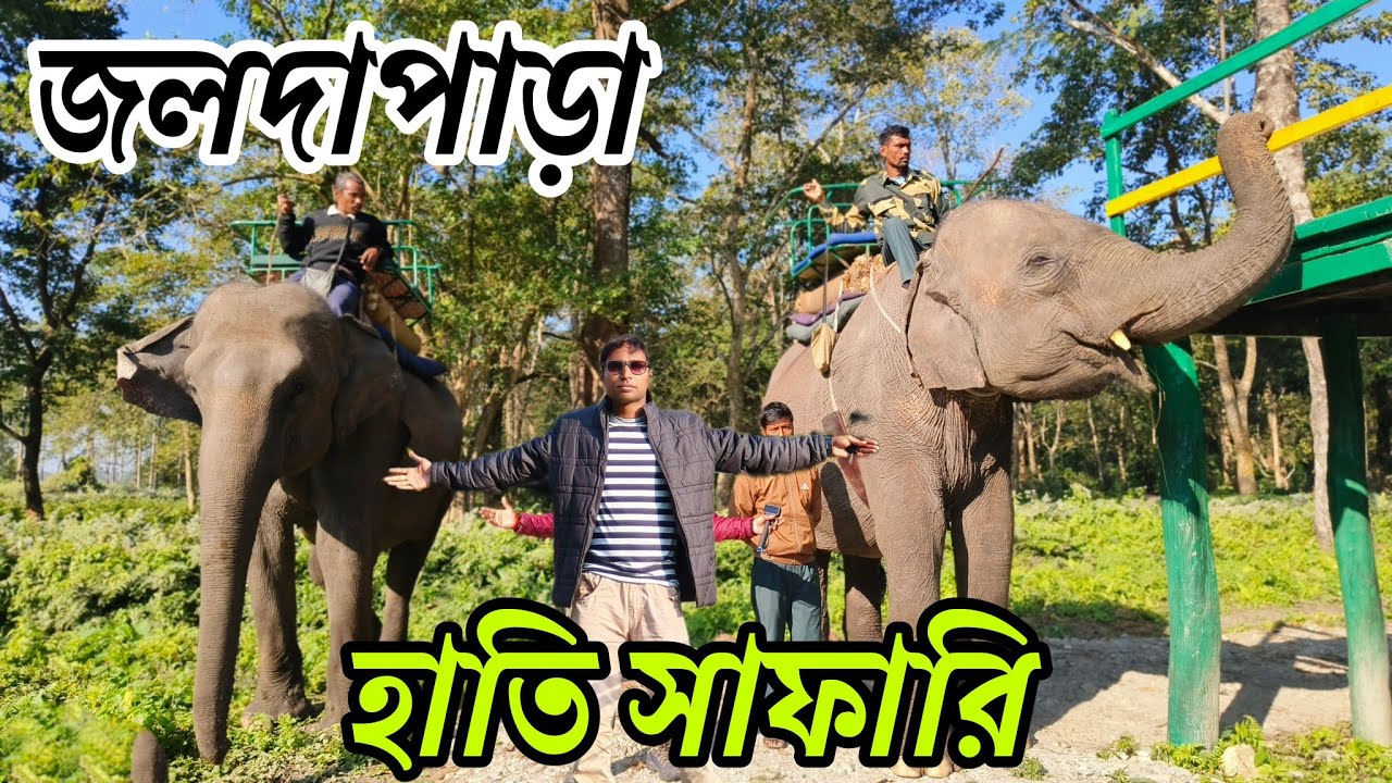 Jaldapara Elephant Safari | Jaldapara National Park | Dooars Tour 2025 |Jaldapara Hati Safari|Dooars