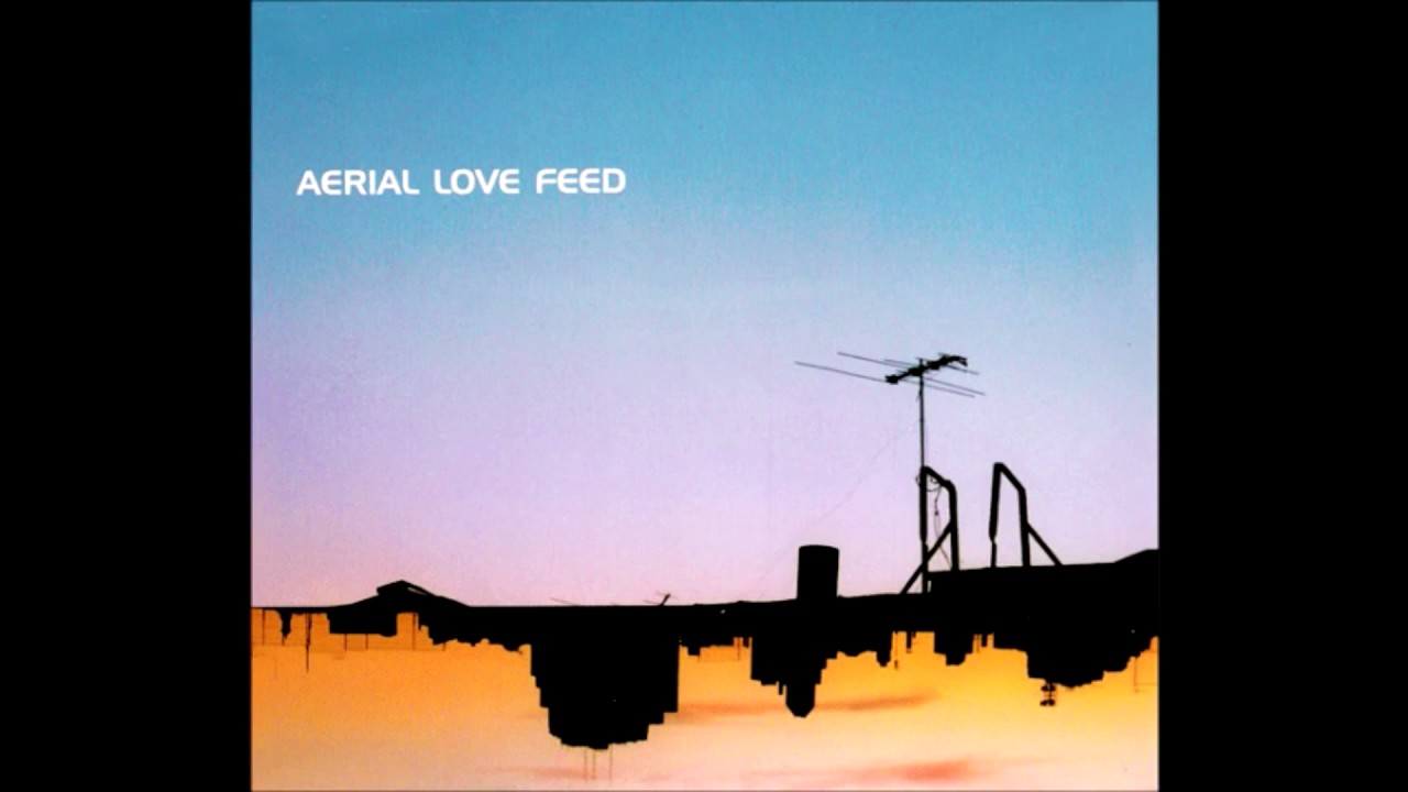 Aerial love feed - 