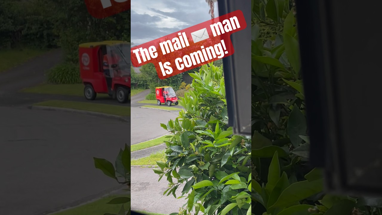 NZ Mail delivery #nzpost @nzpost