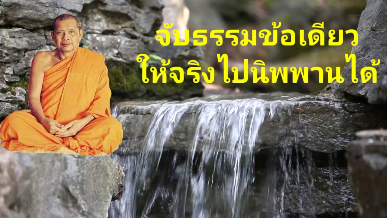 จับธรรมข้อเดียวให้จริงไปนิพพานได้ หลวงพ่อฤาษีลิงดำ(พระราชพรหมยาน)