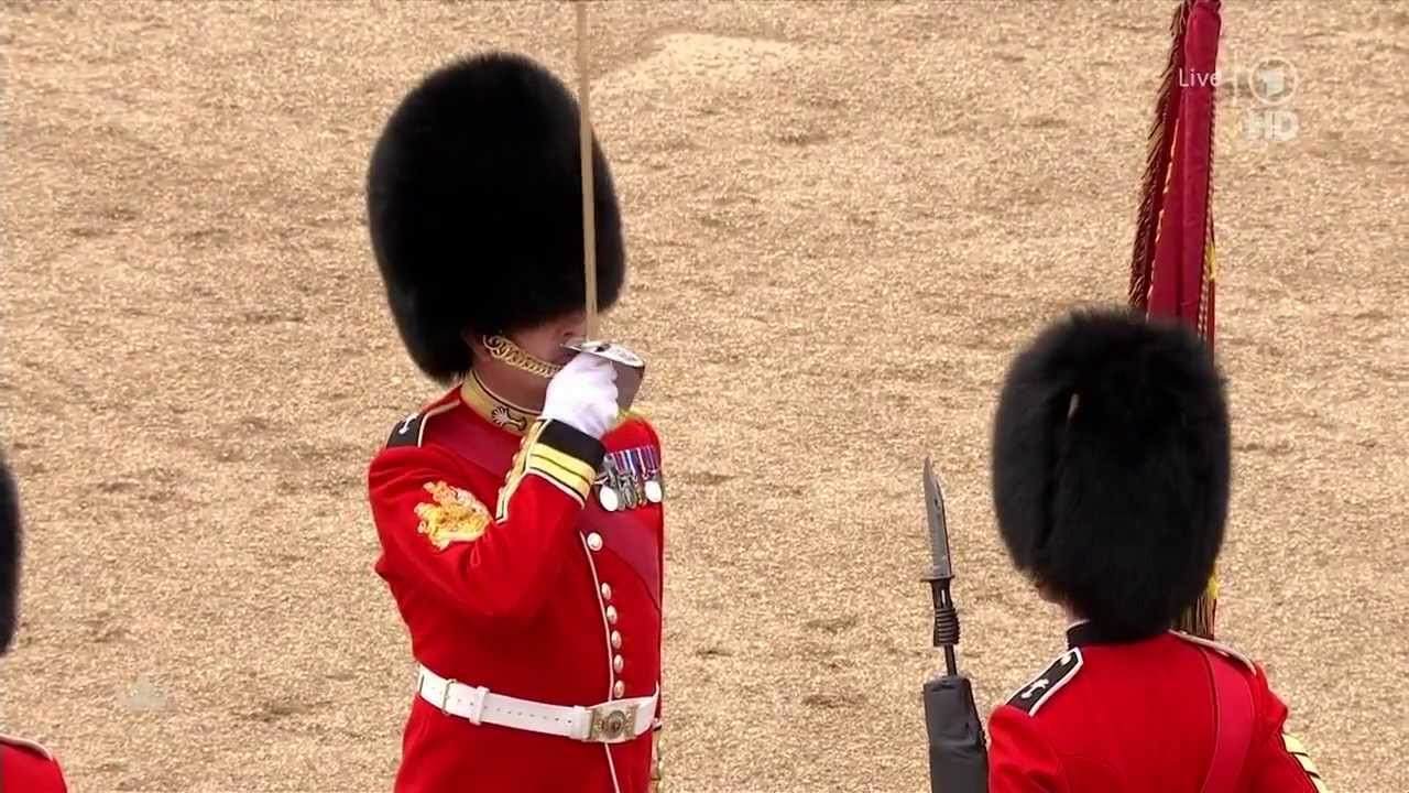 Trooping the Colour 2013 (German)
