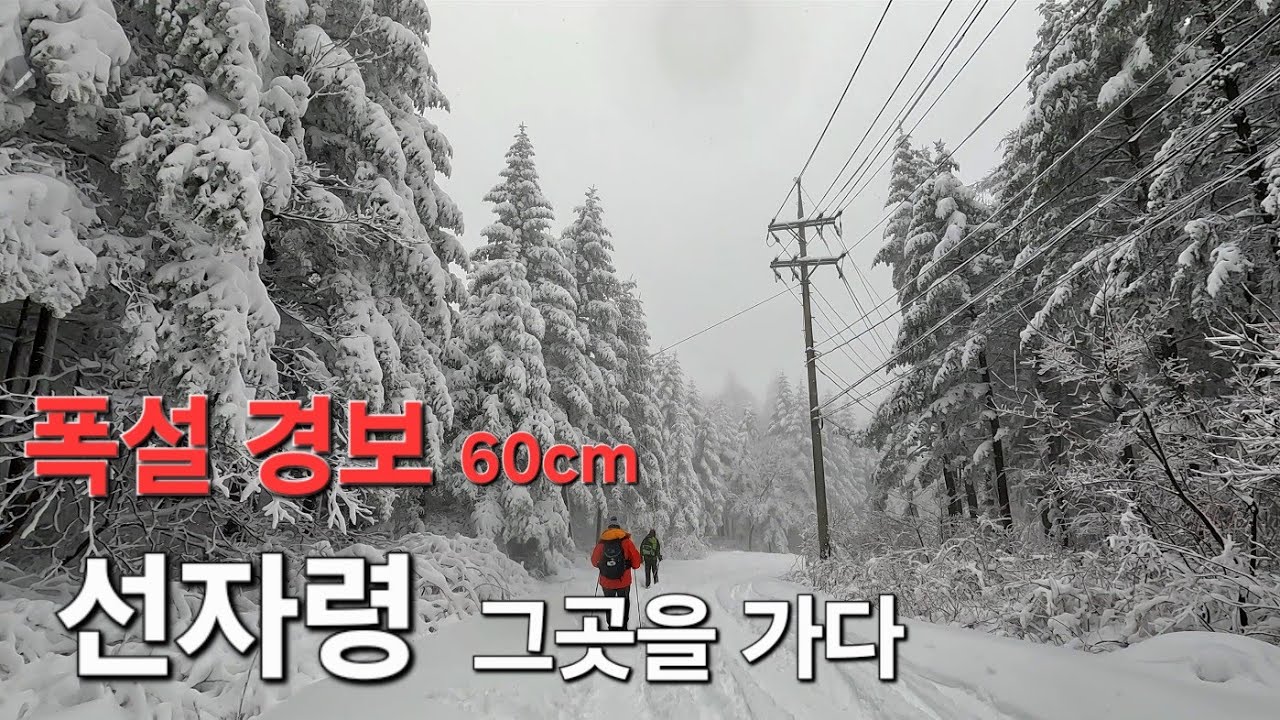 [4K]선자령 폭설경보에 새벽도로를 달려간 이유#최고의 눈폭탄#백패커분들 차량 폭설에 묻히다#꼬북등산tv 