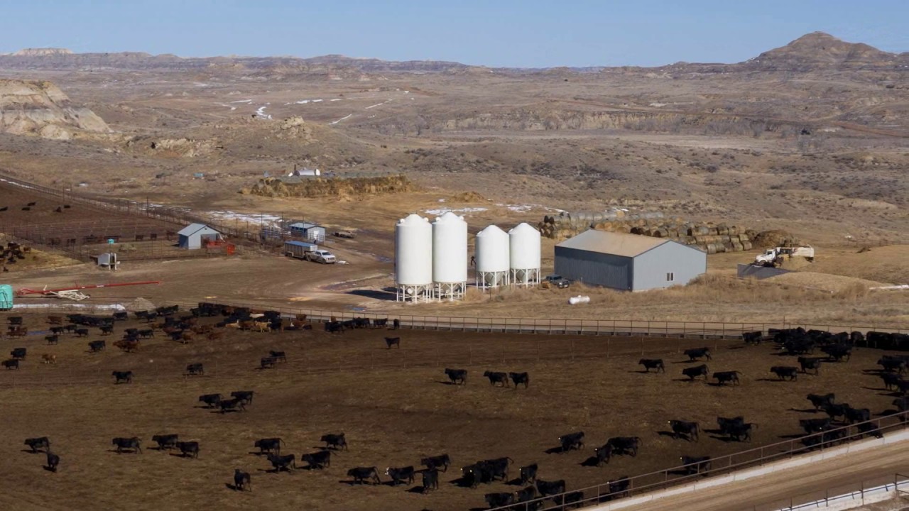 For Sale - HillTop Feedlot & Farm - Kinsey, Montana