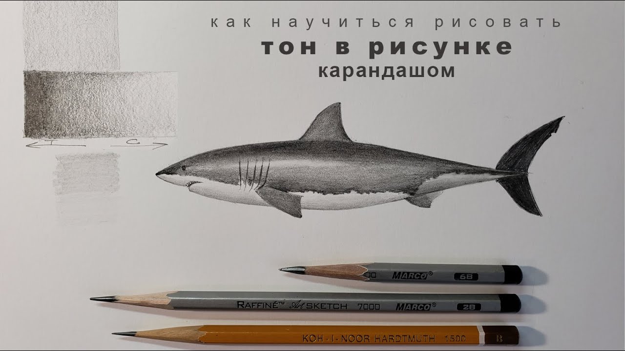 тон в рисунке линия и тон в рисунке карандашом