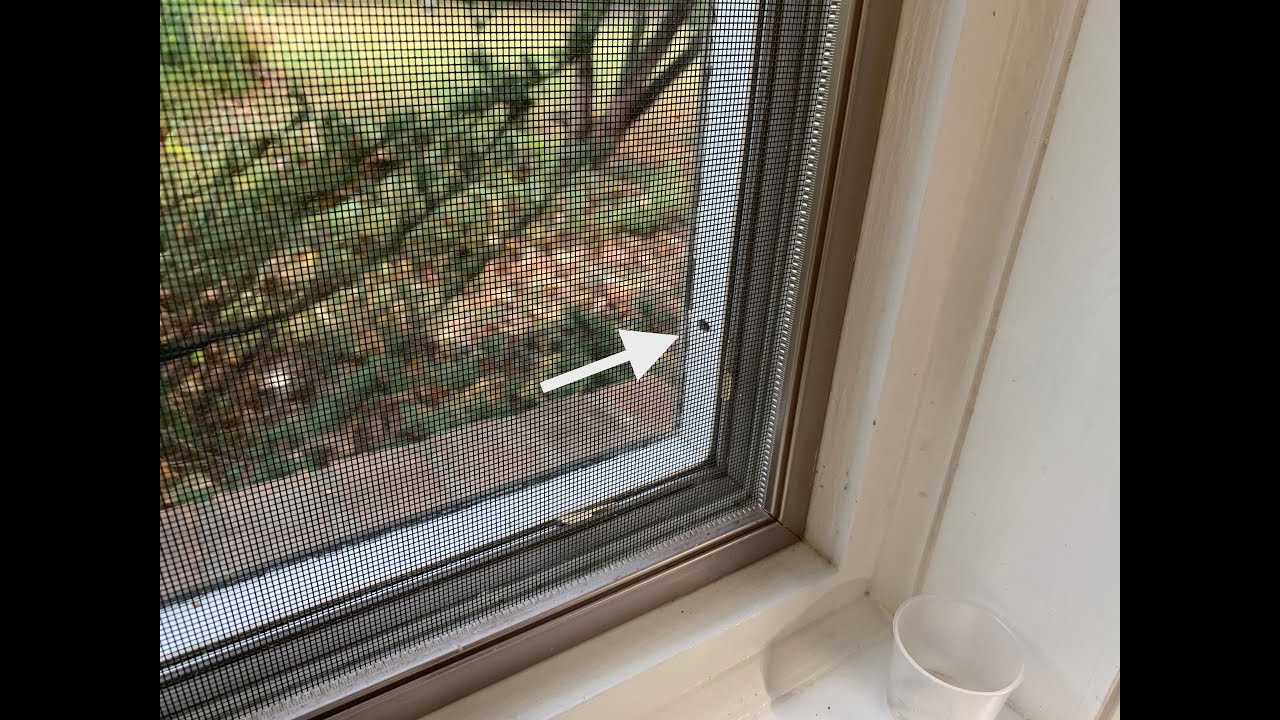 Reconditioning Old Pella Windows 3