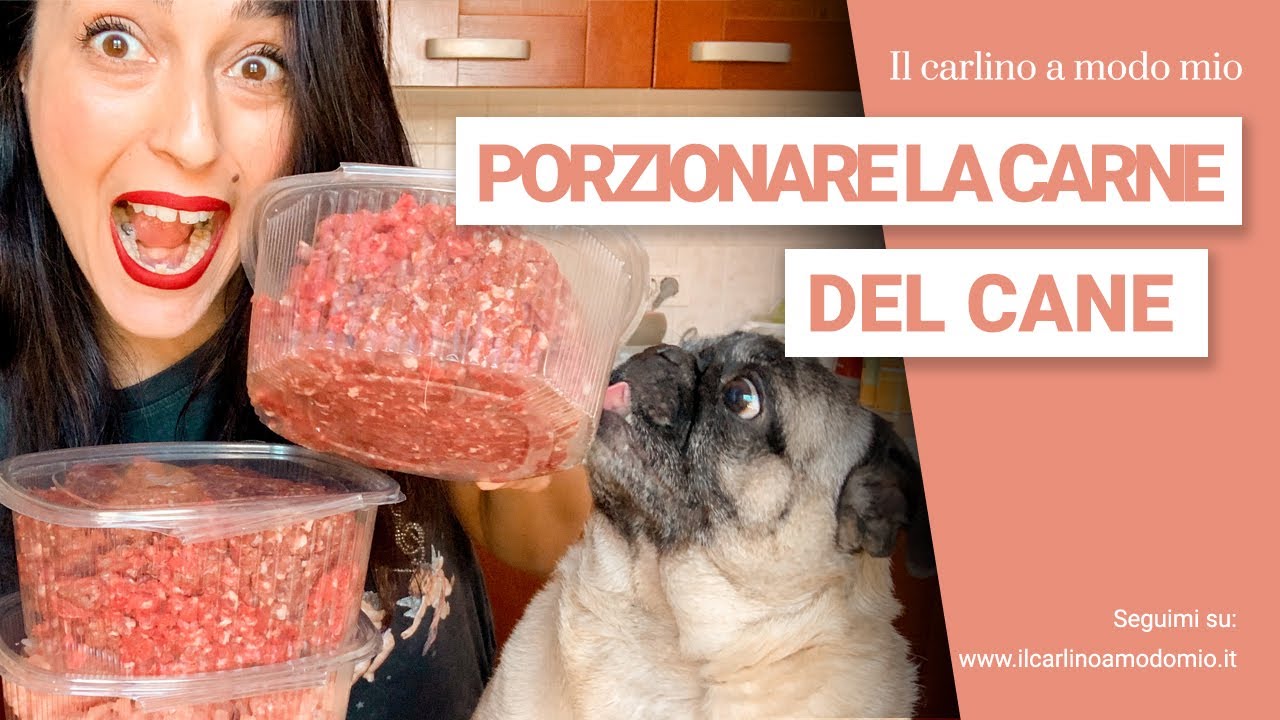 Come porzionare la CARNE nella DIETA CASALINGA del tuo carlino | Il Carlino in cucina