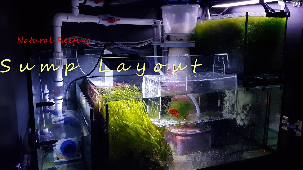 Red Sea Reefer 525 XL Sump Layout and Filtration