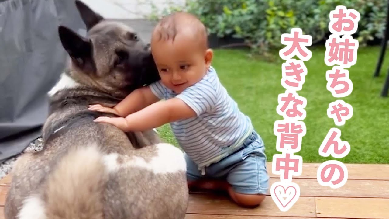 小さな弟を溺愛する大きなワンコ ふたりの尊い日々