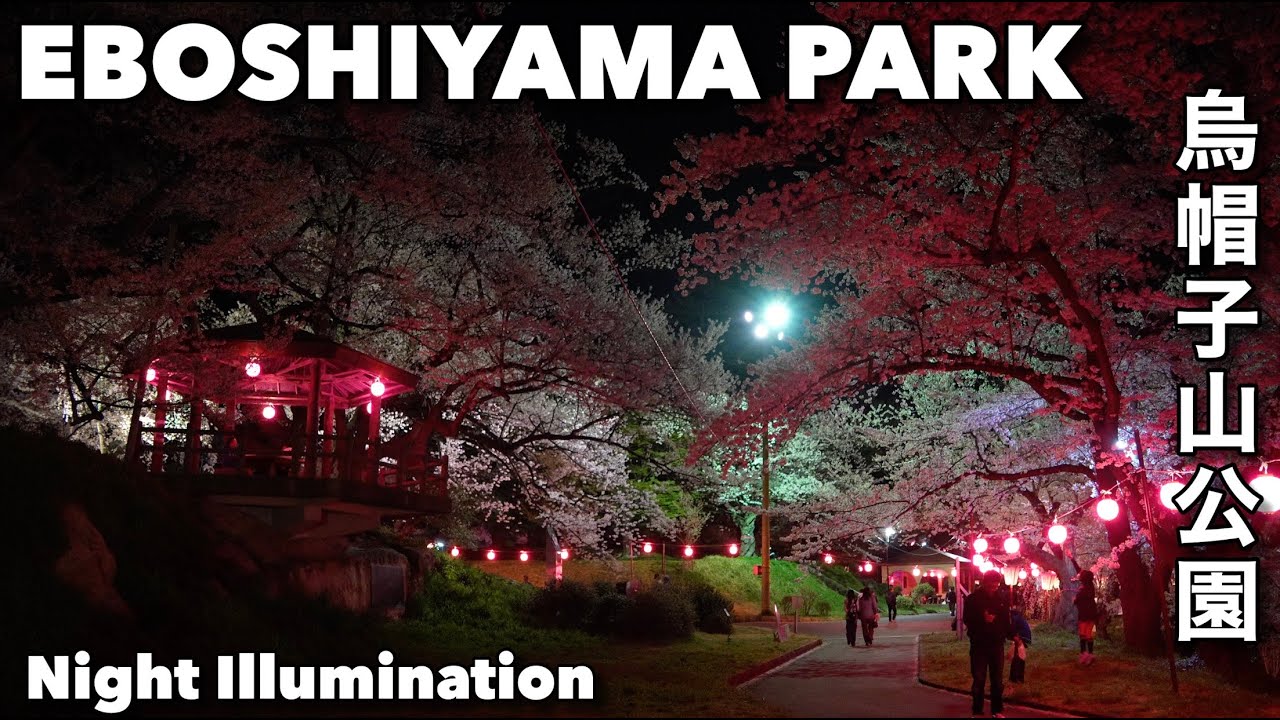 Virtual Night Walk: Eboshiyama Sakura Illumination | Akayu Yamagata 4K