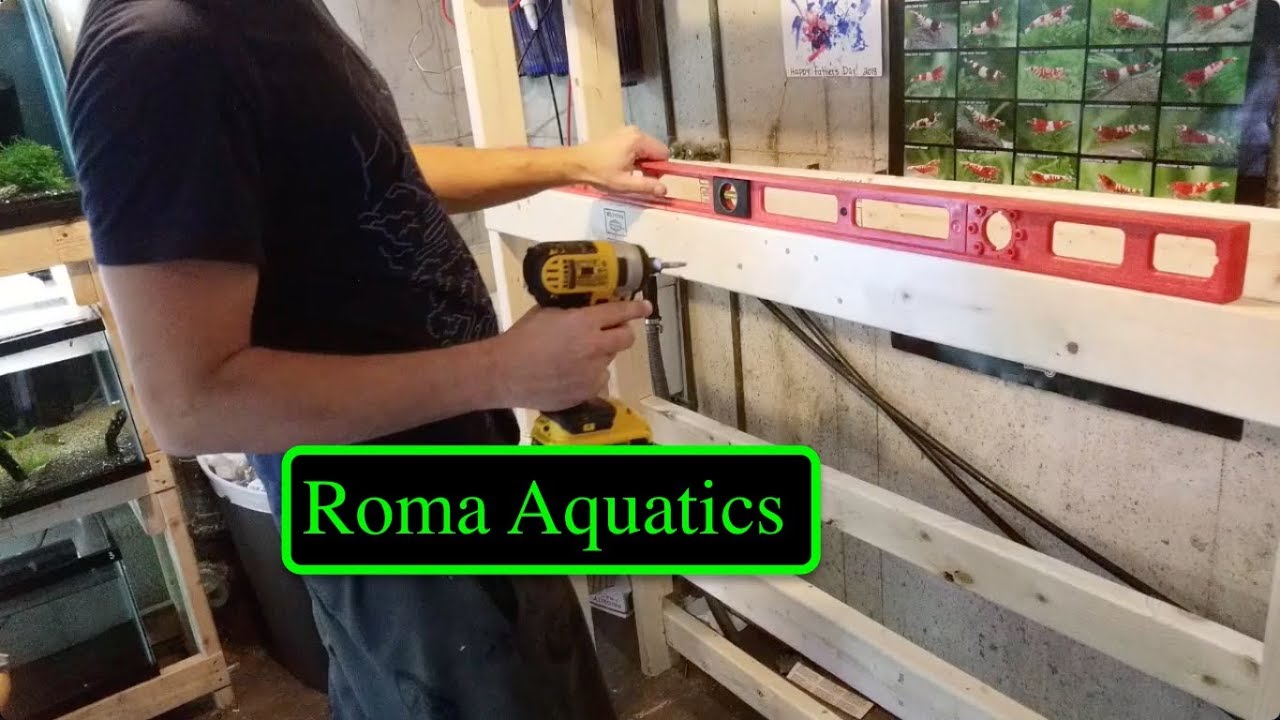 DIY Shrimp Tank Rack - Wooden 2x4 Rack 🆒