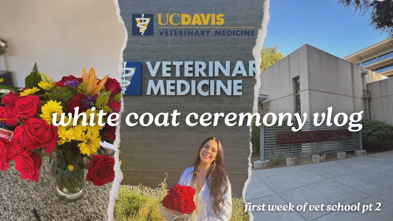 first week of vet school vlog pt 2 ✨ white coat ceremony 🥼, orientation week, & more