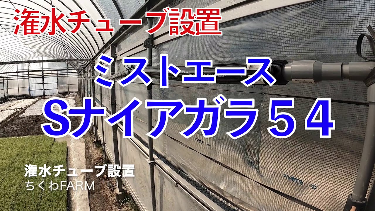 ビニールハウスに潅水チューブ設置”ミストエースSナイアガラ５４”