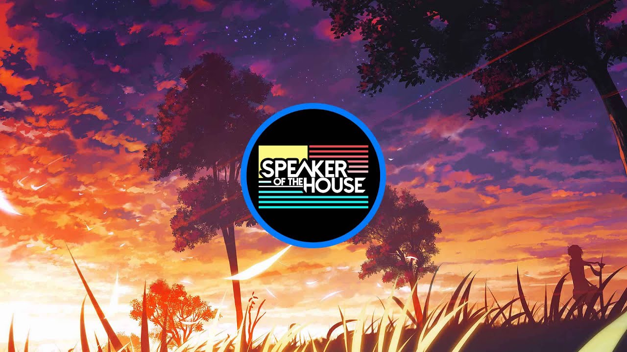 [Electro House]: Speaker of the House - Sky Walker (Original Mix)