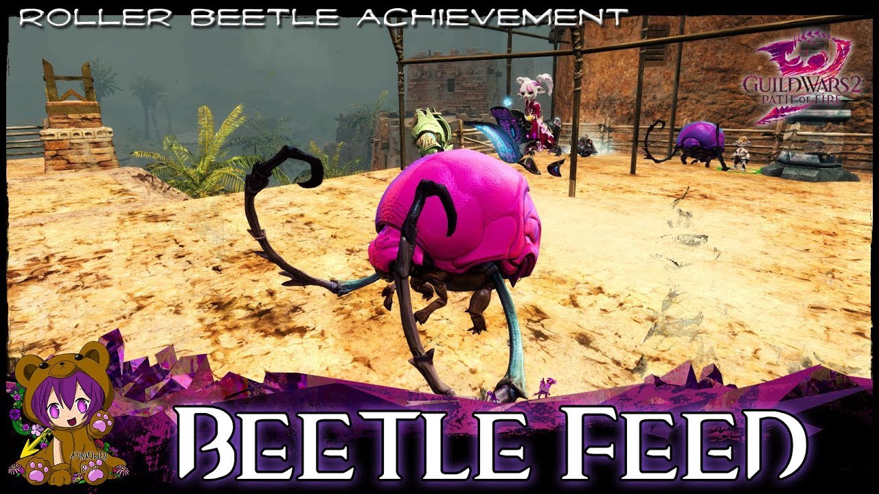 GW2 Beetle Feed achievement (Roller Beetle mount)