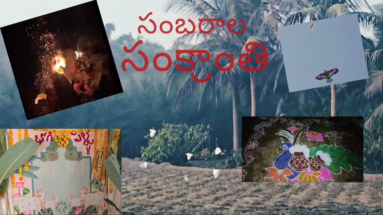 మా ఇంటి సంక్రాంతి సంబరాలు/ సంక్రాంతి ముగ్గులు, భోగి మంటలు, పిండి వంటలు 