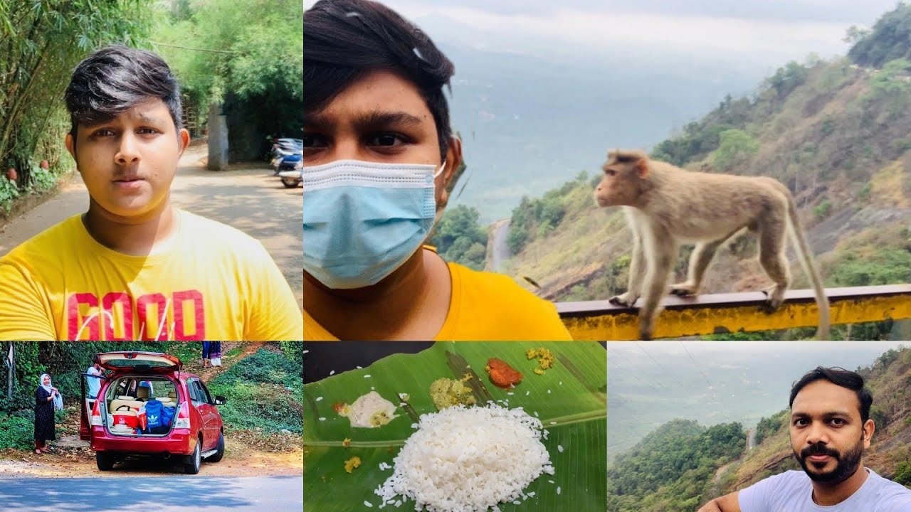 Adithya nature resort wayanad.കാടിനുള്ളിലെഒരു റിസോർട്ടും എന്റെ യാത്രനുഭവങ്ങളും 😊🚘.|EP-3|PART-2