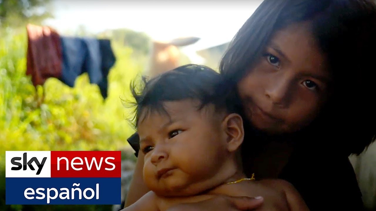 La amenaza para la selva tropical de la Amazonia l Un nuevo clima