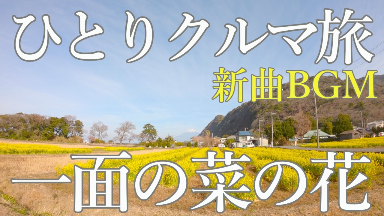 菜の花畑と富士山！ ～ 軽バンひとり旅　2月の伊豆④  戸田出逢い岬～菜の花畑～富士山ビュースポット・西浦江梨～山中湖編