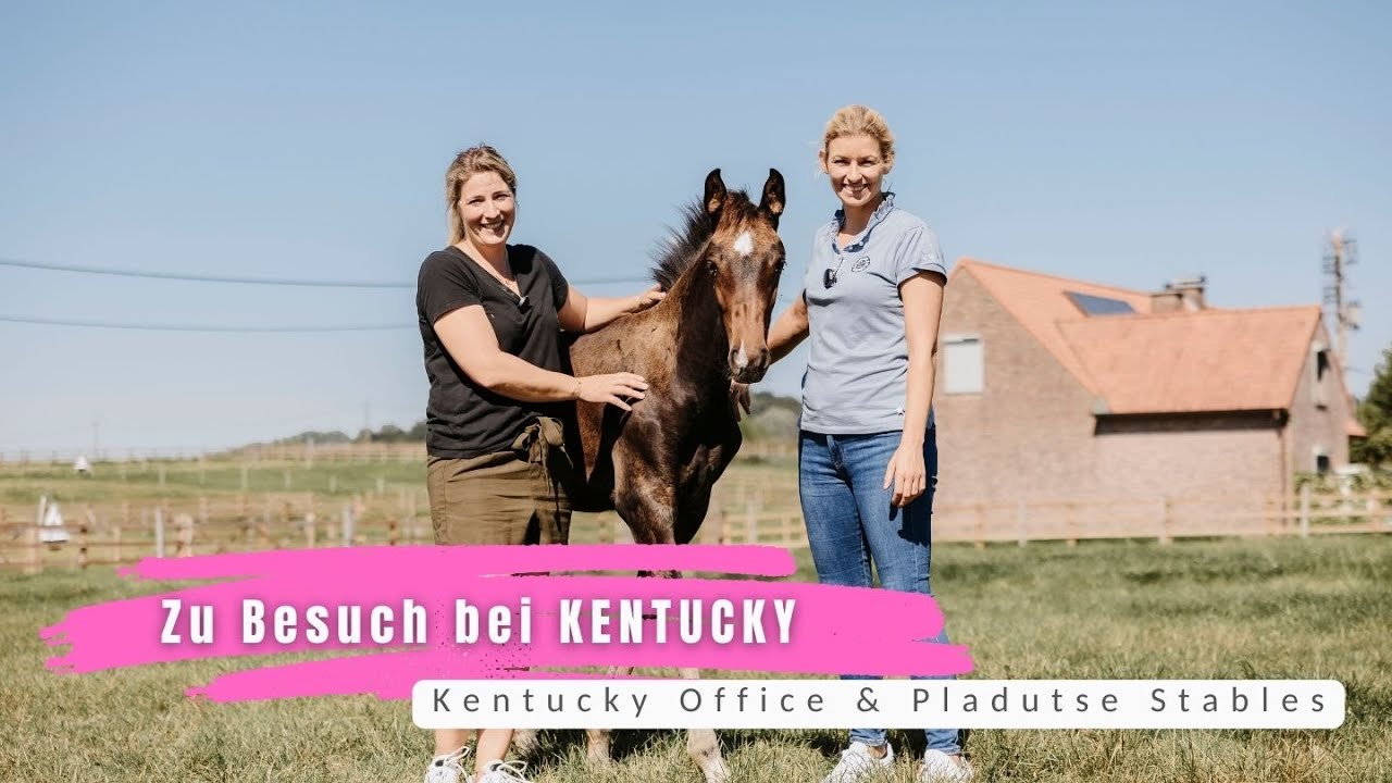 500 Euro KENTUCKY GIVEAWAY I Office & Stable Tour mit Fohlen kuscheln I DAS ist Kentucky Horsewear