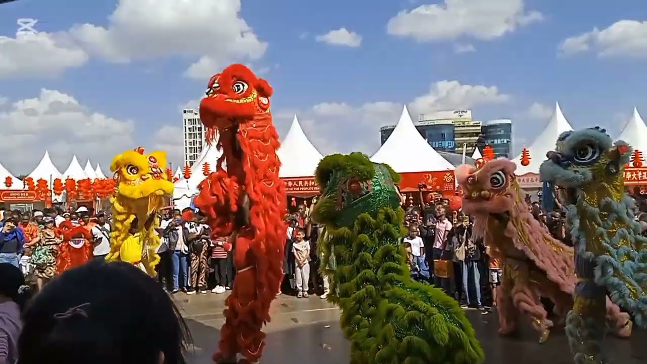 Experience Chinese Lunar New Year Celebration In Kenya 