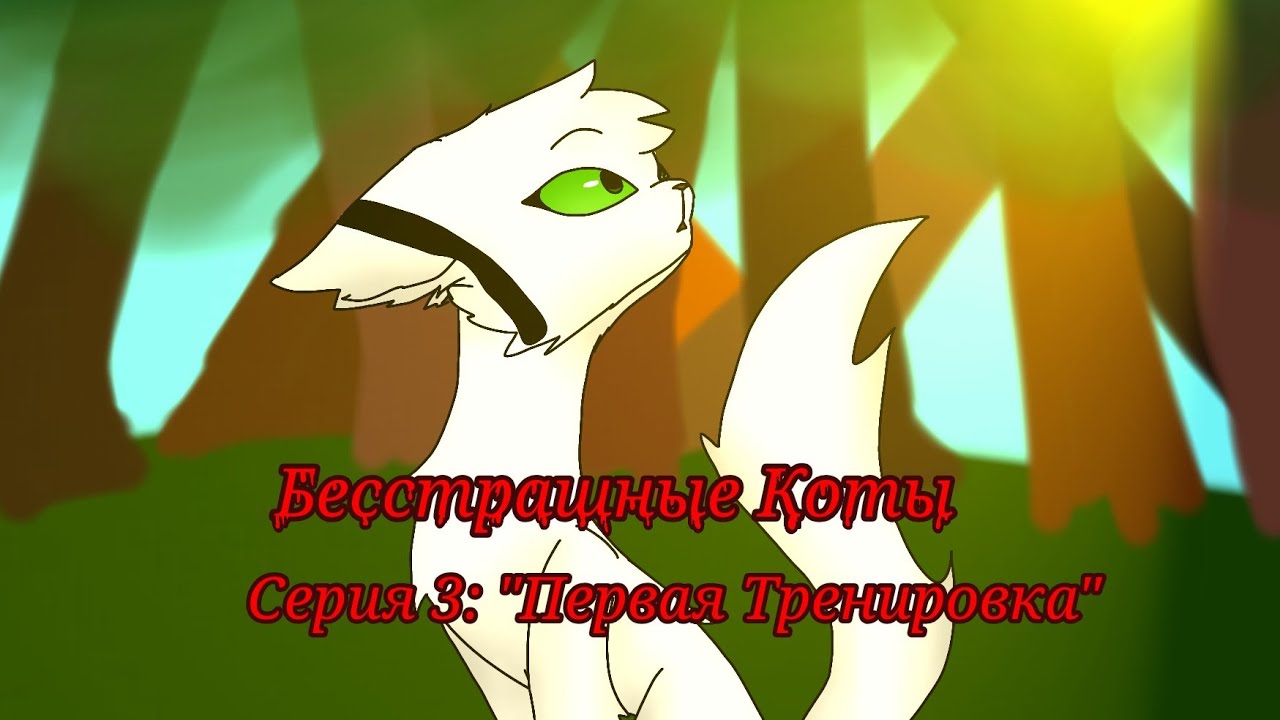 Бесстрашные Коты. 3 Серия. Первая Тренировка. 