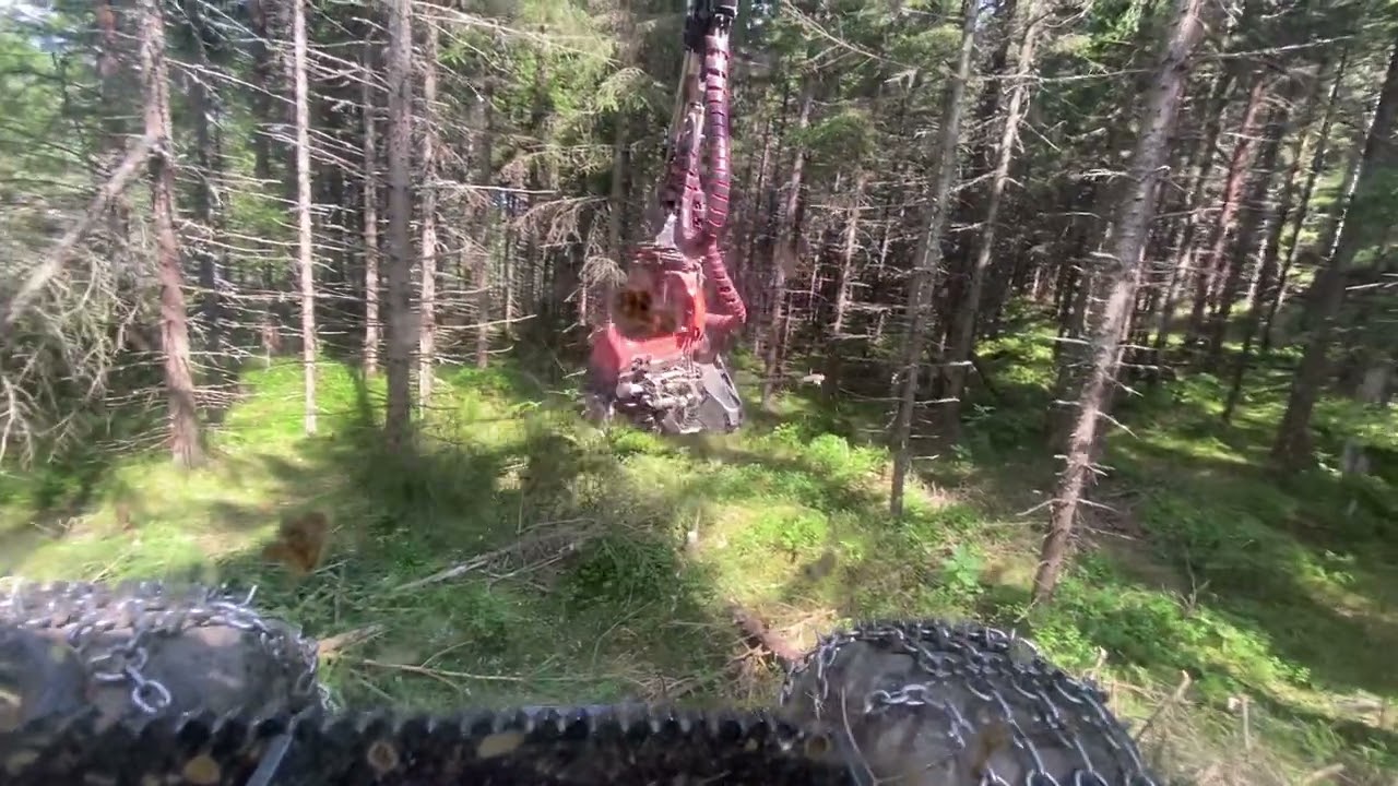 Komatsu 901 C93 In First Thinning