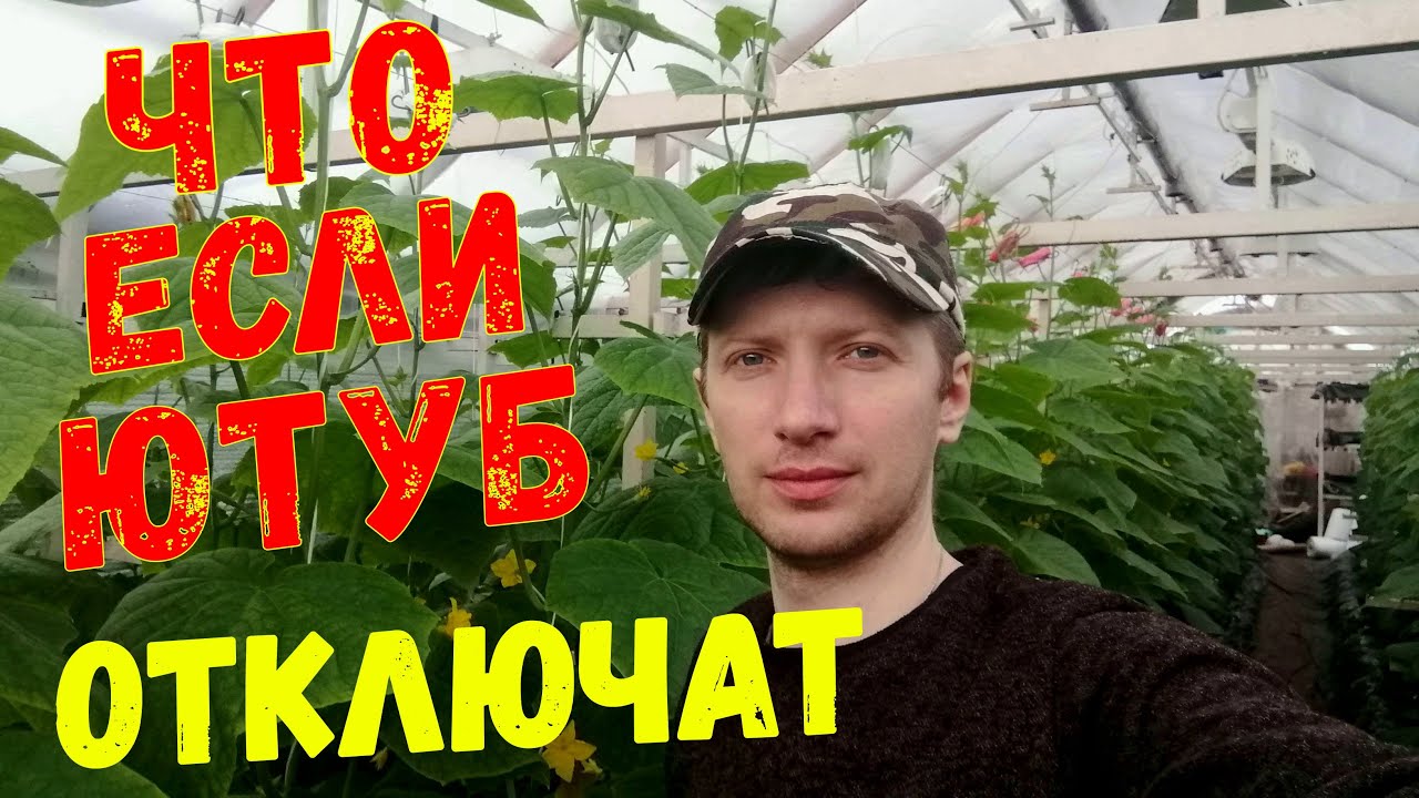 Что если отключат ютуб?! Как остаться зрителем и подписчиком моего канала!