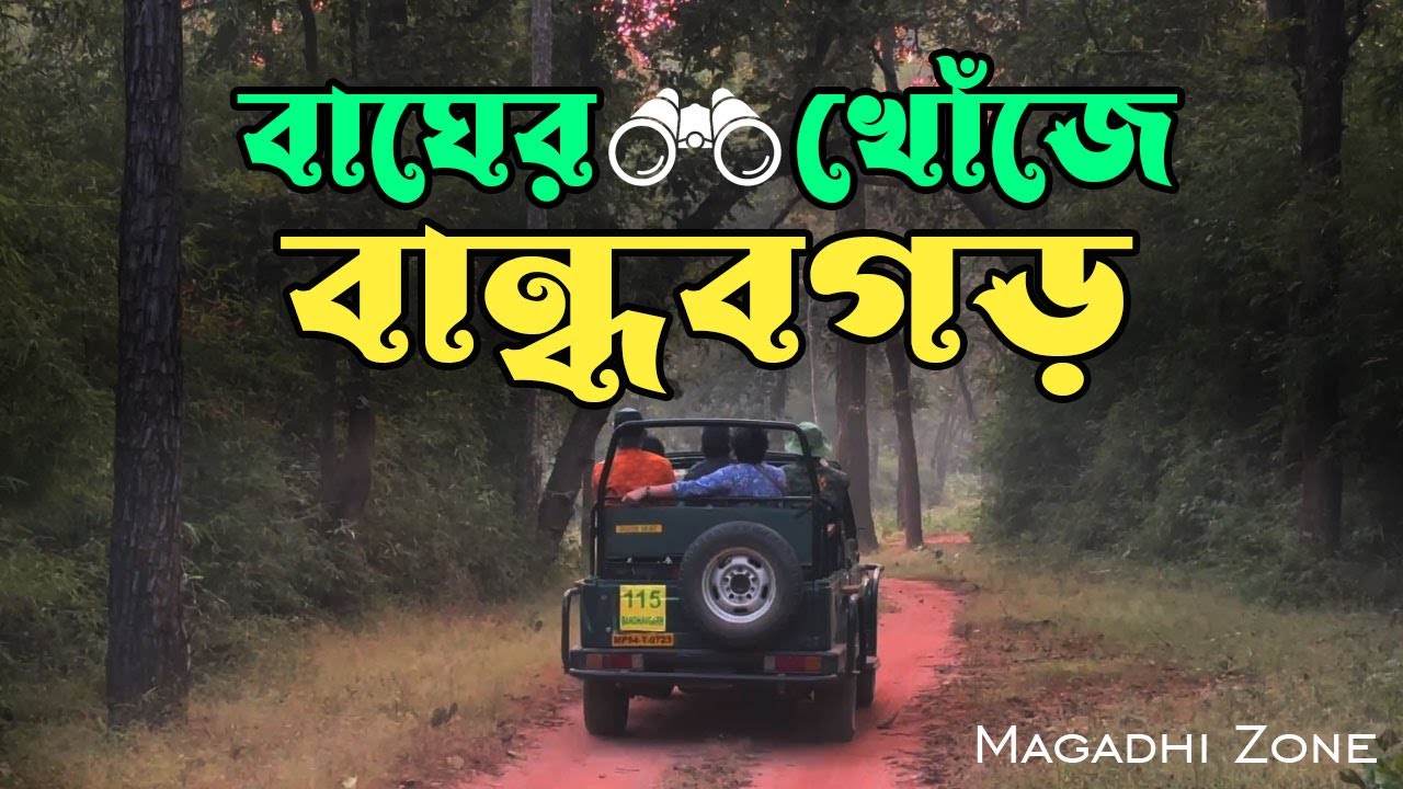 Bandhavgarh Jeep Safari | Magadhi Zone Jeep Safari | Best Safari Zone in Bandhavgarh National Park