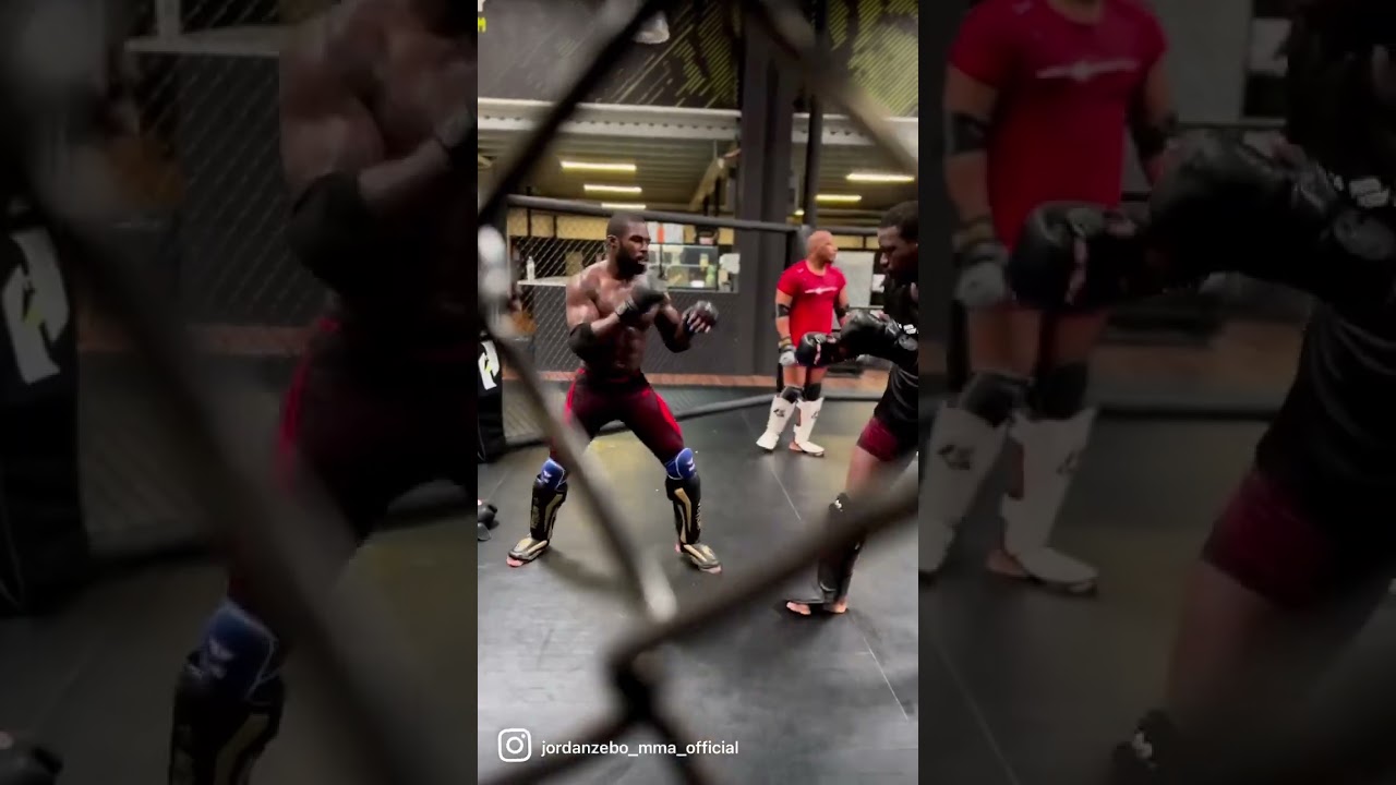 Sparring pro au MMA FACTORY 💢📈#mma #ufc #fight