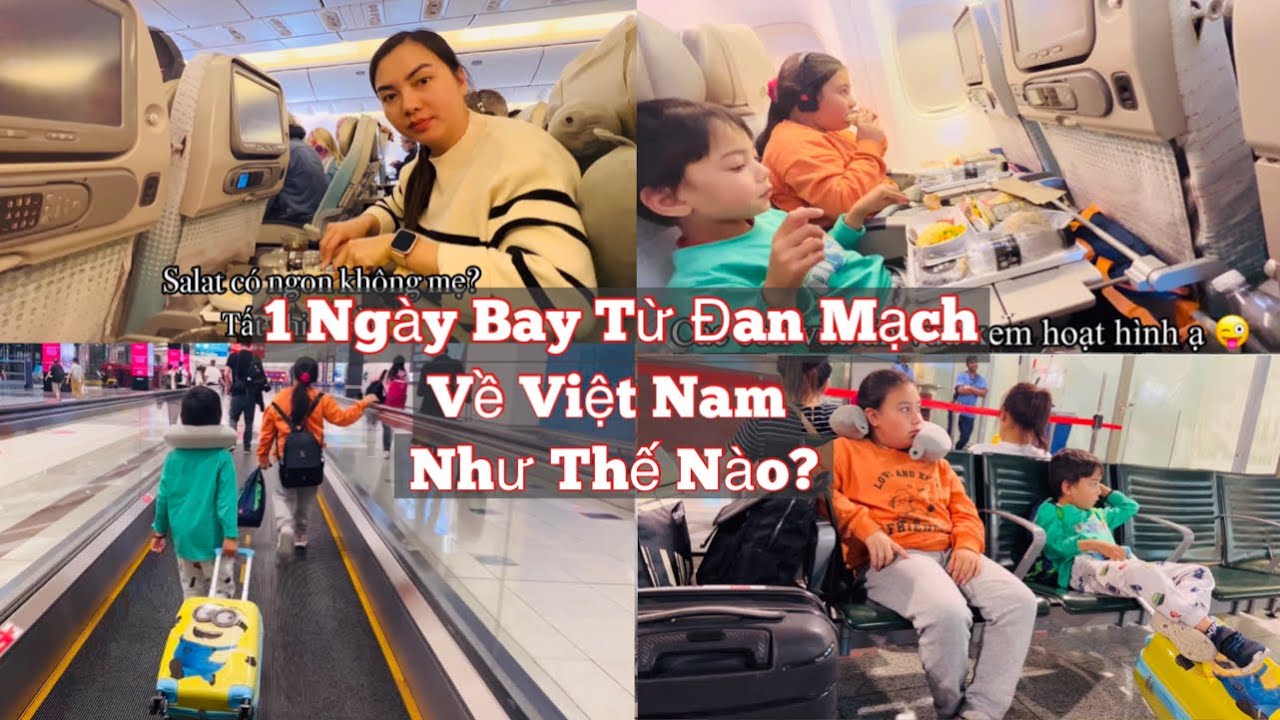 Vlog 252 Một Ngày Bay Từ Đan Mạch Về Việt Nam Diễn Ra Như Thế Nào? Cuộc Sống Đan Mạch