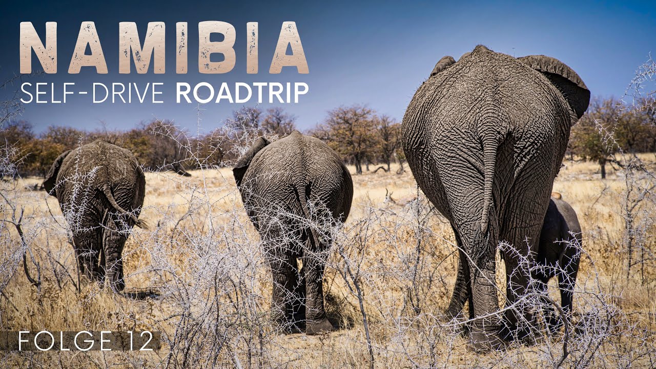 Etosha Nationalpark | Selbstfahrer Safari in Namibia