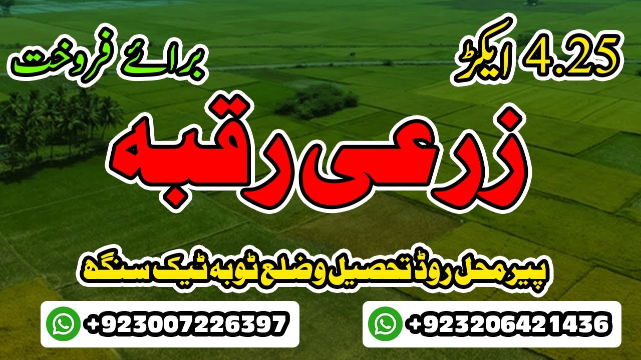 4.25 Acre Agricultural Land For Sale Pir Mahal Road, Toba Tek Singh | Toba Property