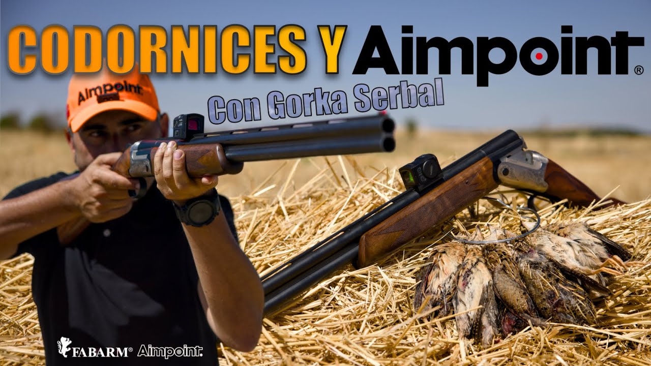 ARDESA MENOR #1  